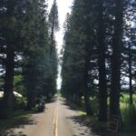 Maui : Private : Road to Hana Day Trip : Just For Your Group - The Value of a Private Tour