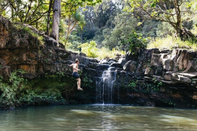 Maui: Rainforest Waterfalls Guided Hike with Picnic Lunch - The Trail & Waterfall Stops: What You’ll Experience