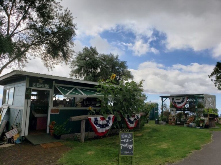 Maui: Road to Hana Adventure with Breakfast & Lunch - Who Is This Tour Best For?