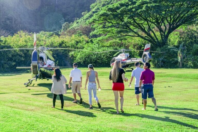 Maui: Road to Hana Helicopter & Waterfall Tour with Landing - Who Should Book This Tour?