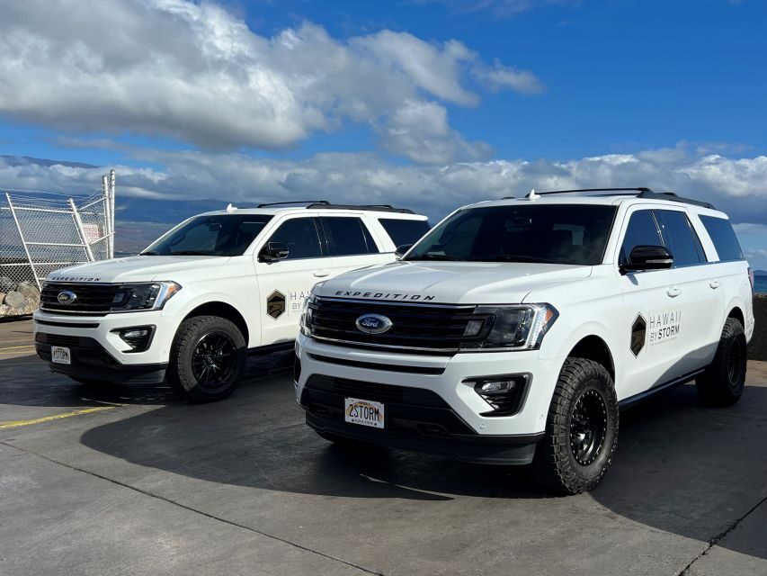 Maui: Road to Hana Private Adventure Tour with Luxury SUV - Who Is This Tour Best For?