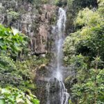 Maui Road to Hana VIP Private Tour in Convertible Bronco - Who Is This Tour Best For?