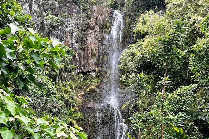Maui Road to Hana VIP Private Tour in Convertible Bronco - Who Is This Tour Best For?