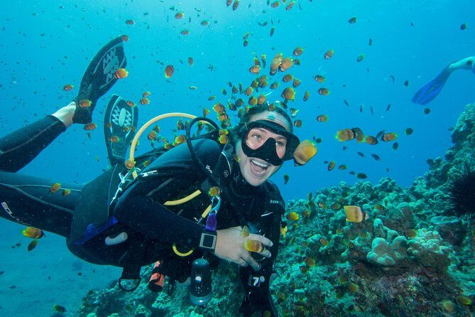 Maui Scuba Diving Introductory Lesson from Lahaina - The Experience for Travelers