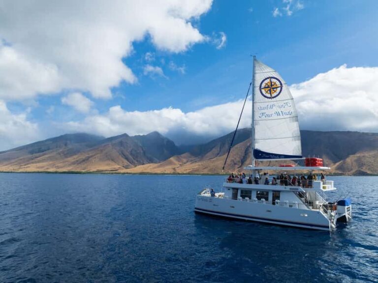 Maui: Snorkel Tour to Coral Gardens - Who Is This Tour Best For?