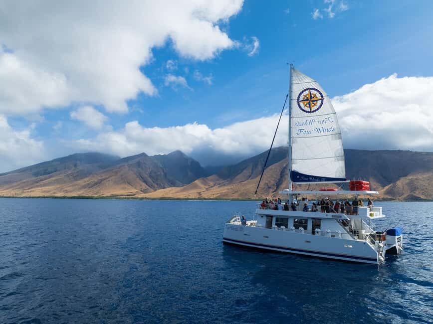 Maui: Snorkel Tour to Coral Gardens - Who Is This Tour Best For?