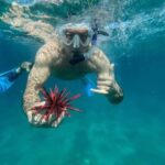 Maui: Snorkel with Turtles and Picnic Tour - Who Would Love This Tour?