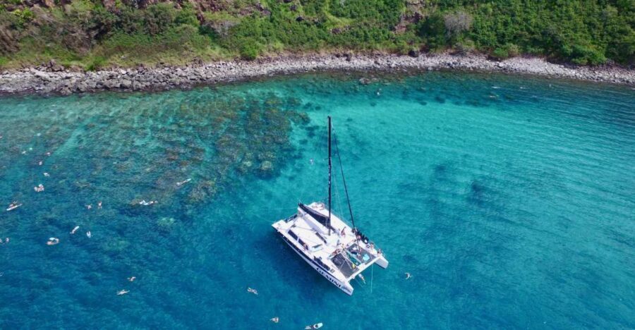 Maui: Snorkeling and Sailing Adventure with Buffet Lunch - Value for Money and Overall Impression