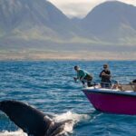 Maui: Sunrise Whale Watch - The Itinerary and Experience