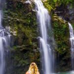 Maui Tropical Rainforest Eco Tour with Lunch - Final Thoughts