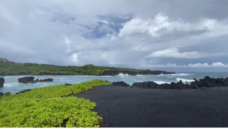 Maui: Van Day Trip to Hana with Local Guide and Lunch - Who Is This Tour Best For?