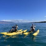 Maui: Water Bike Tour in Makena Bay - The Practical Side: Details and Value