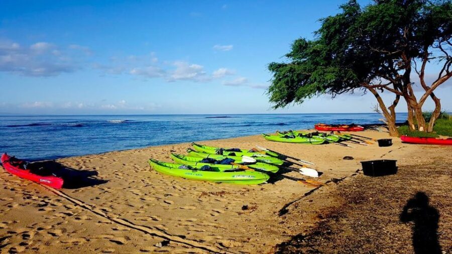 Maui: West Side Discovery Kayak & Snorkel from UKUMEHAME - Real Experiences and Honest Feedback
