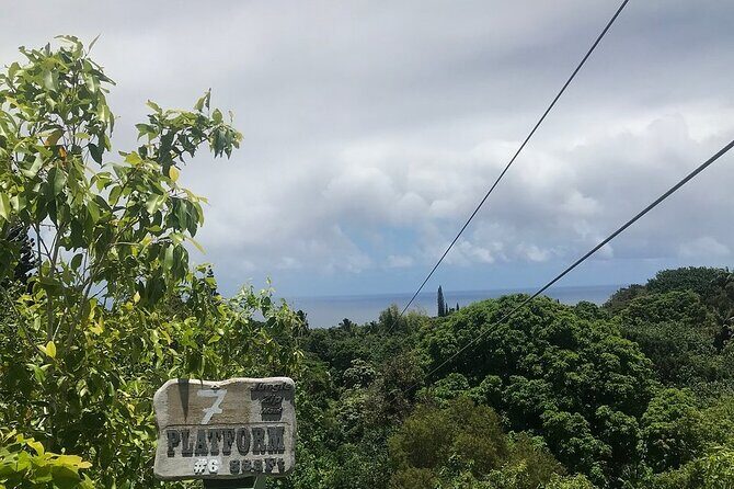 Maui Zipline Eco Adventure: 8 Lines through the Jungle - What Past Travelers Say