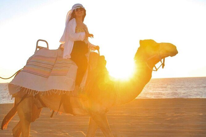 Maverick and RZR in the Beach and Desserts from Los Cabos - Final Thoughts