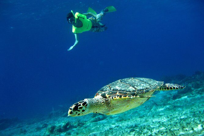 Mayan Flavors & Tequila Tasting + Beach Time - Whats Included and Whats Not