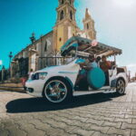 Mazatlan: City Tour in a Traditional "Pulmonia" Open-Air Car - Who Is This Tour Best For?