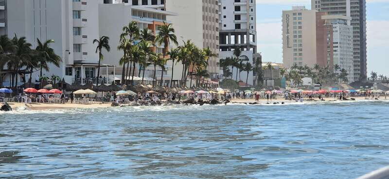 Mazatlan: Sea lions and snorkeling - Value for Money