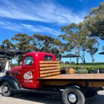 McLaren Vale Small Group Wine Tour inc d'Arenberg Cube & lunch - What the Tour Means for You
