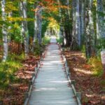 MDI Private Discovery Tour - Explore Beyond Acadia (five hours) - Final Thoughts: Is It Worth It?