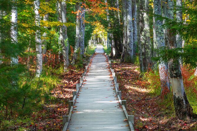 MDI Private Discovery Tour - Explore Beyond Acadia (five hours) - Final Thoughts: Is It Worth It?