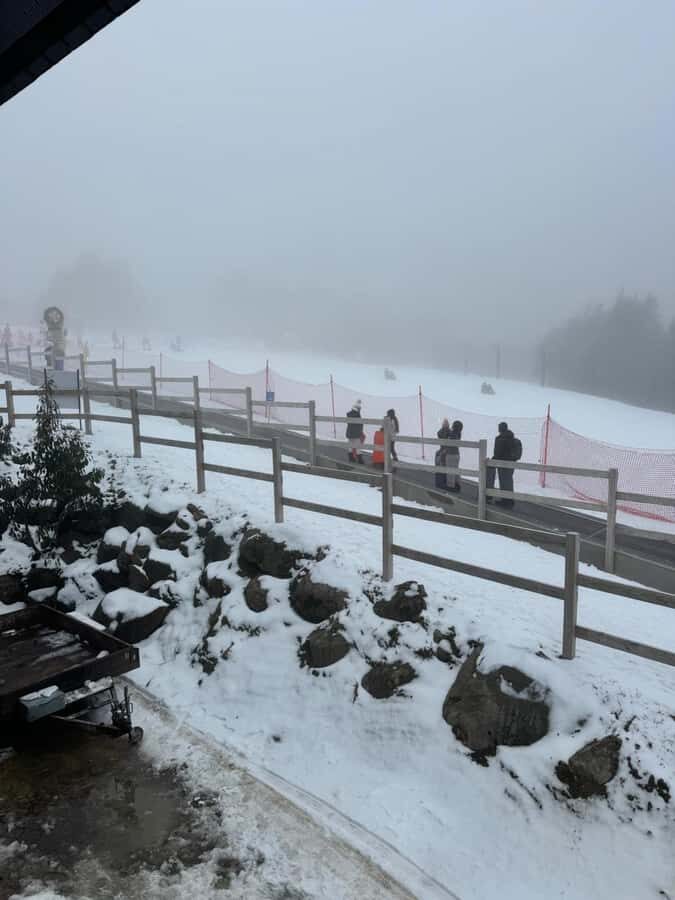 Melbourne: Private Lake Mountain Snow & Redwood Forest Tours - A Day Well Spent