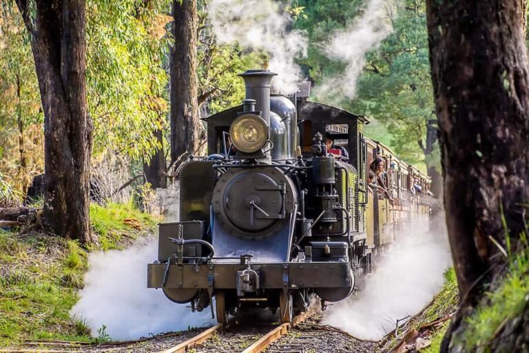 Melbourne Puffing Billy & Penguins Day Tour - Who Might Be Better Off Looking Elsewhere?