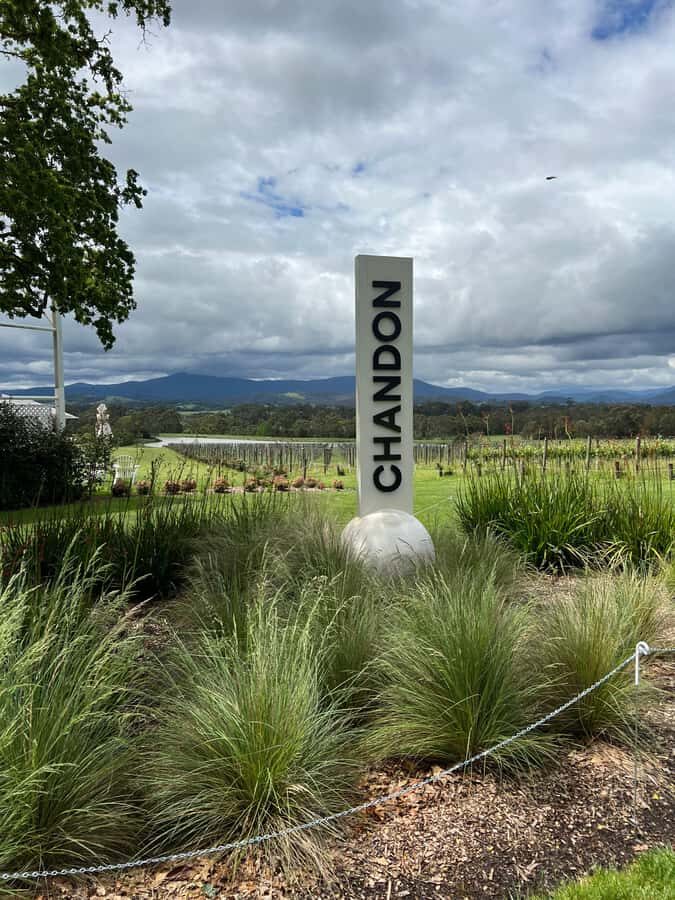 Melbourne: Yarra Valley Wineries Private Day Tour - What the Reviews Say