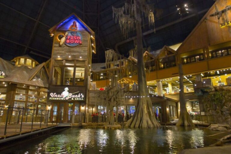 Memphis: Hop-On Hop-Off Sightseeing Bus Tour - Who Is This Tour Best For?