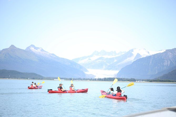 Mendenhall Glacier View Sea Kayaking - Value and Pricing