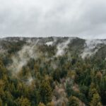 Mendocino County: Pudding Creek Railbikes - The Cost and Value