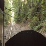 Mendocino County: Skunk Train Wolf Tree Turn Train Ride - Who Will Love This Experience?