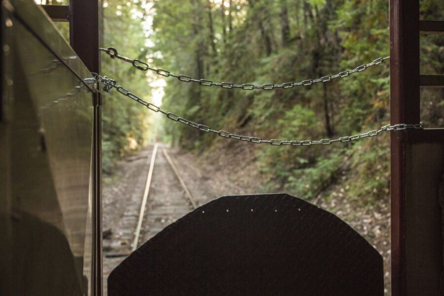 Mendocino County: Skunk Train Wolf Tree Turn Train Ride - Who Will Love This Experience?