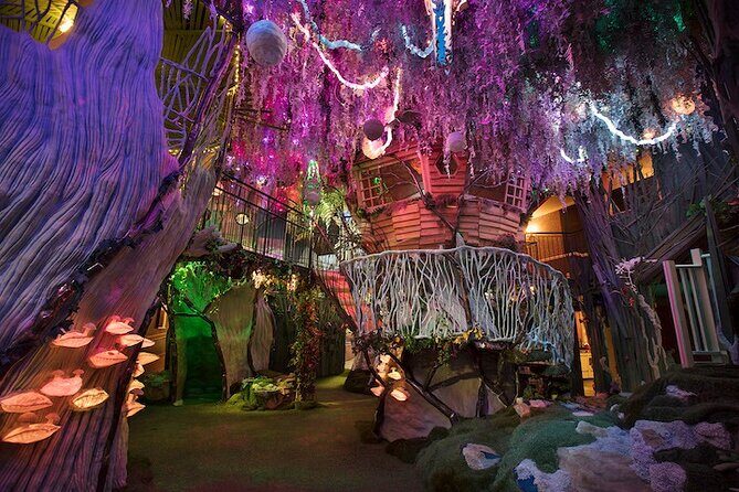 Meow Wolf's House of Eternal Return - Frequently Asked Questions