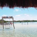 Mérida: Beach tour and restaurant with ocean view with a local guide - The Itinerary Breakdown