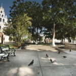 Mérida: City Highlights Guided Walking Tour - What Travelers Say