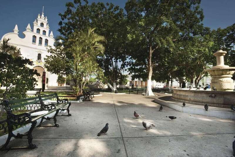 Mérida: City Highlights Guided Walking Tour - What Travelers Say