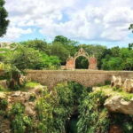 Mérida: Hacienda & Cenote Mucuyche Guided Tour - What You Should Know Before Booking