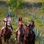 Mérida: Jungle & Cenotes Tour with Horseriding & Lunch - Who Is This Tour Best For?