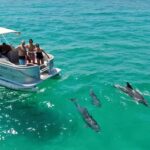 Merritt Island: 2-Hour Wildlife Boat Tour - The Practical Side