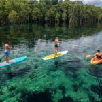 Merritts Mill Pond Eco Adventure - Practical Details and Tips