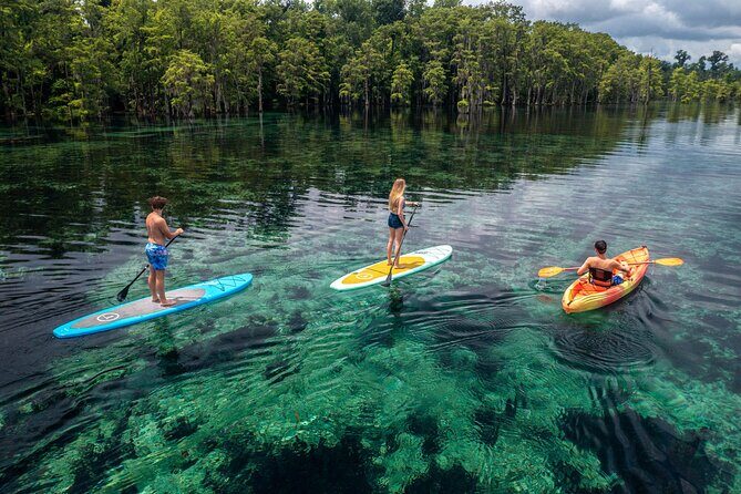 Merritts Mill Pond Eco Adventure - Practical Details and Tips