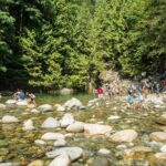 Mesmerizing Nature Walk in Lynn Canyon Park - Who Will Love This Tour?