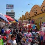 Mexican Flavor Route - Tacos, Chocolate & Desserts in Mexico City - Visiting the Local Markets