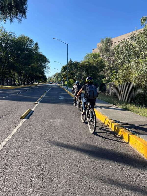 Mexico City: Bike, Cannabis, Nature, Food, Culture and History. - Discovering the Neighborhoods and Street Art