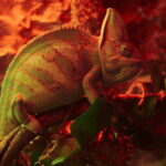 Mexico City: Fast Pass Ticket to Acuarium Inbursa - Who Is This Experience Best For?