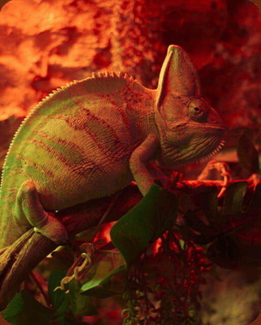 Mexico City: Fast Pass Ticket to Acuarium Inbursa - Who Is This Experience Best For?