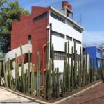 Mexico City: Frida Kahlo-Diego Rivera Studio House Tour - What to Expect During the Tour