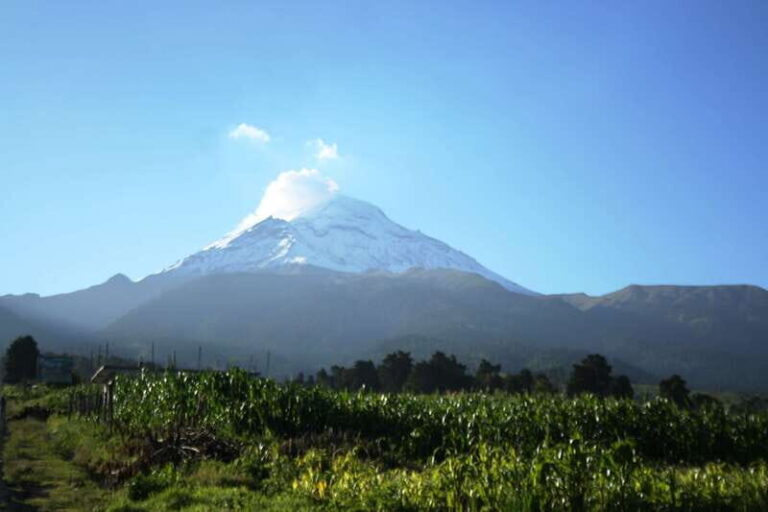 Mexico City: Guided Volcano Trek with Lunch - Authentic Reviews Tell the Story