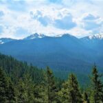 Mexico City Hike: Conquer the Ajusco National Park - Who Will Love This Tour?